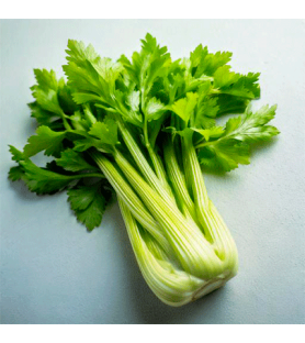 Celery Natural flavour Oilsoluble